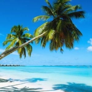 Meet your Posher, Ritu